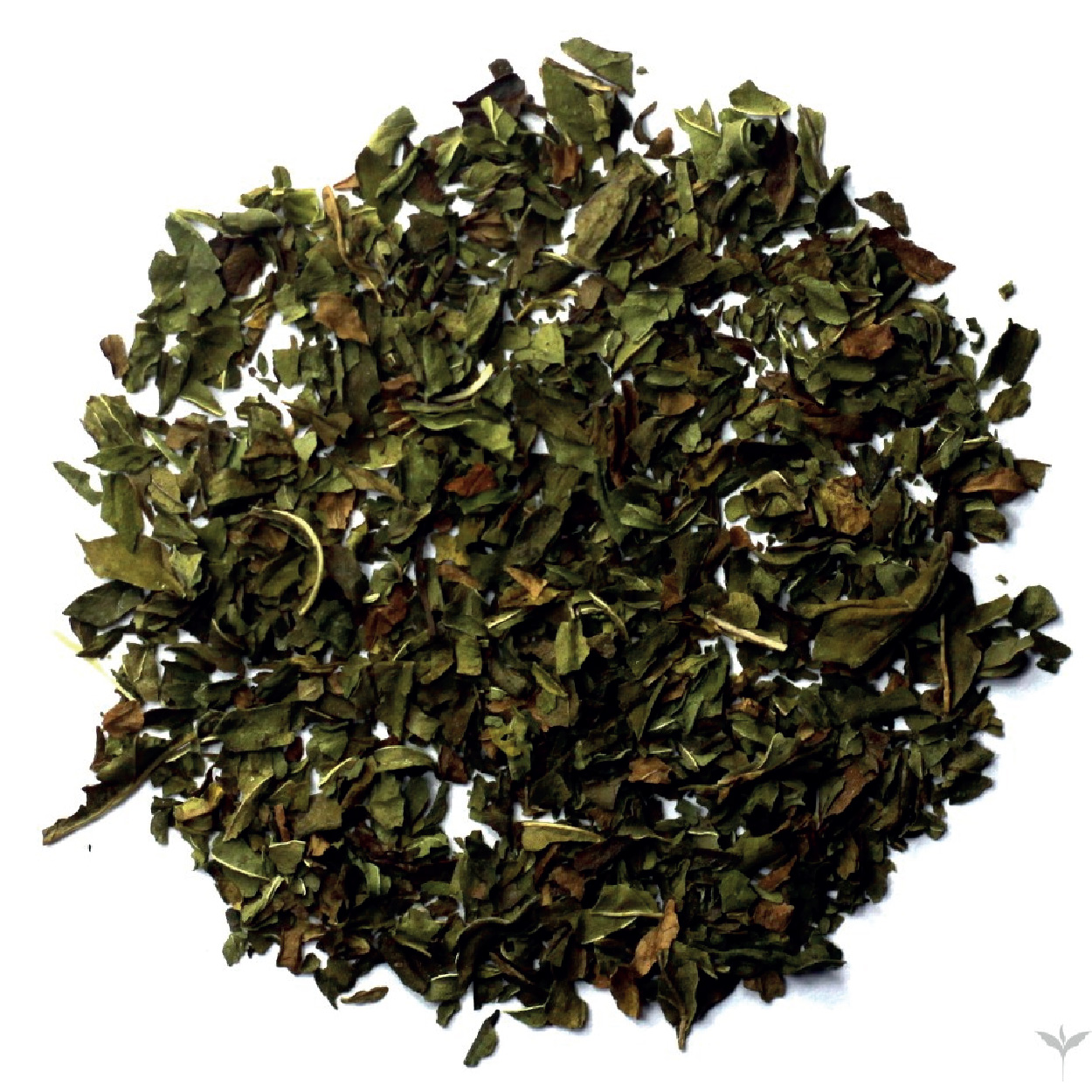 茶分類-01