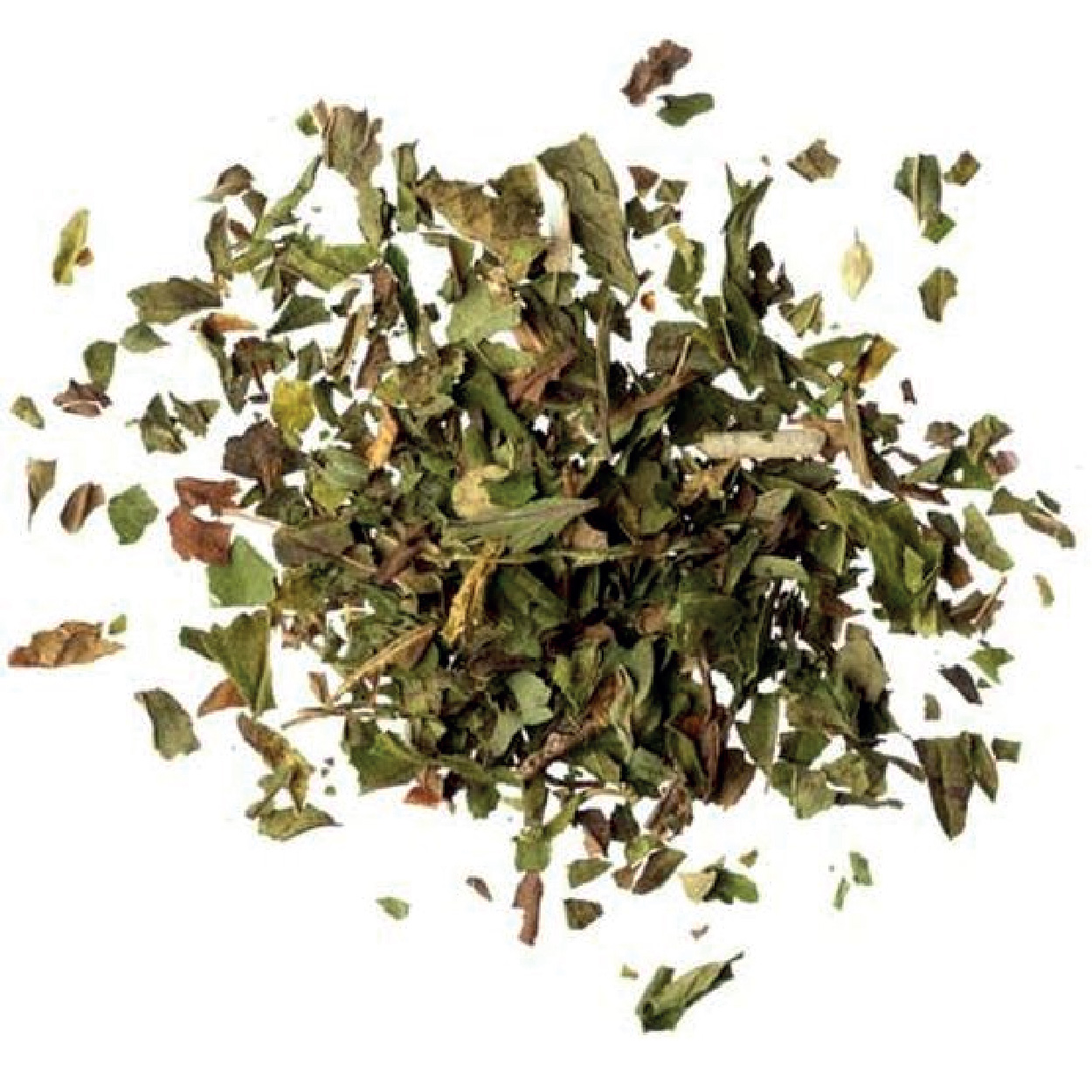 茶分類-02